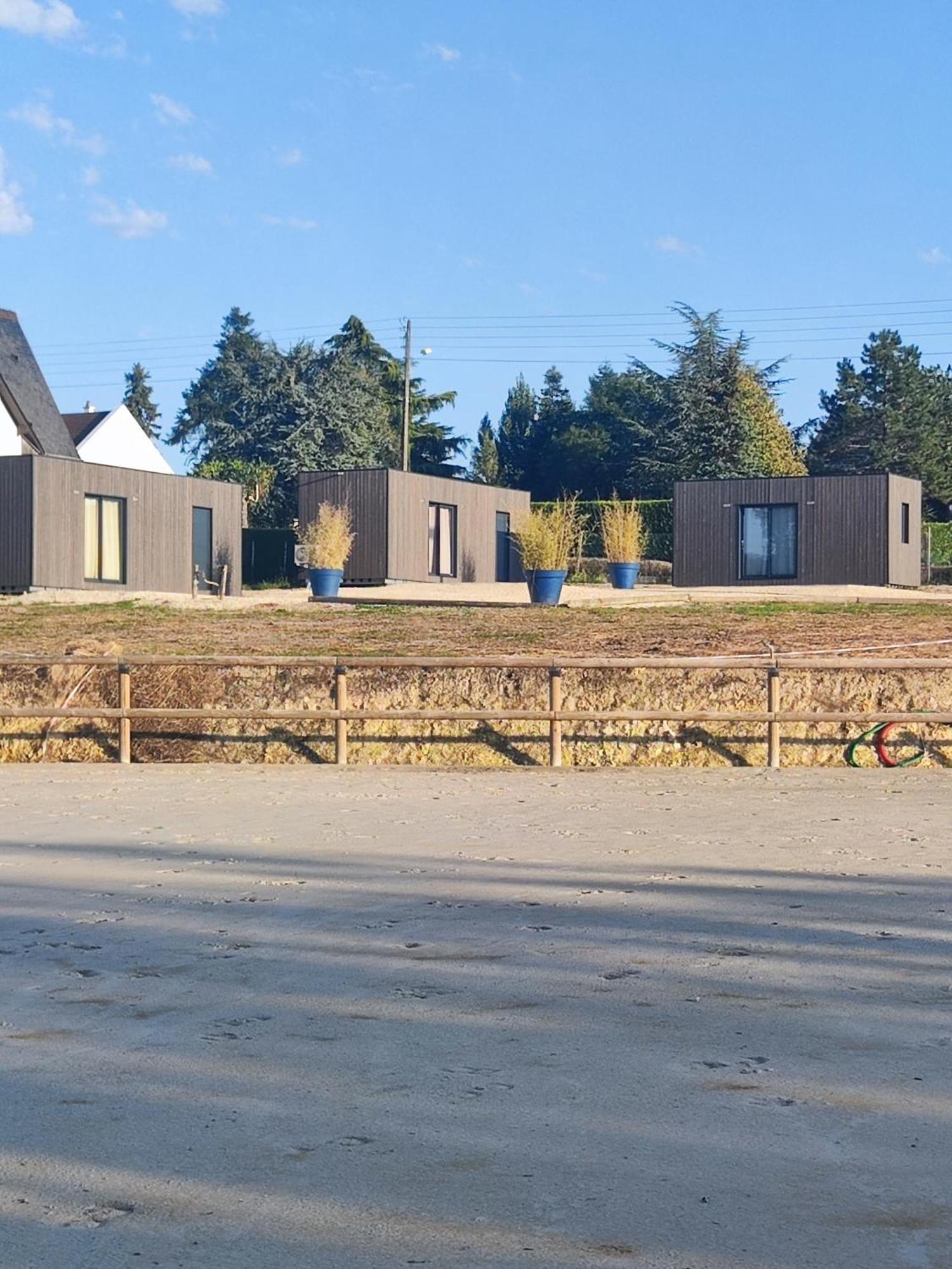 Domaine Du Moulin Neuf Aux Portes De Beauval Nouans-les-Fontaines Exterior foto
