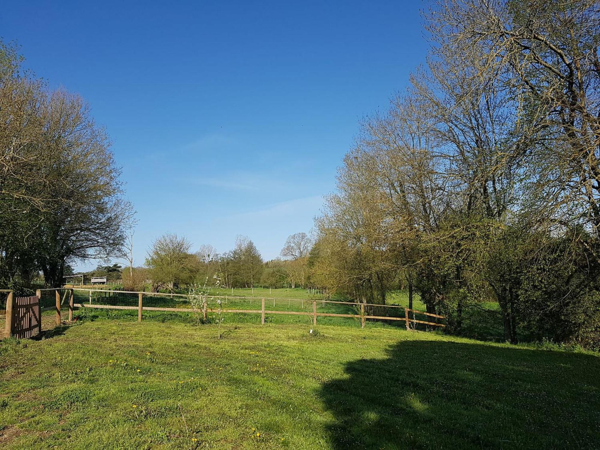 Domaine Du Moulin Neuf Aux Portes De Beauval Nouans-les-Fontaines Exterior foto