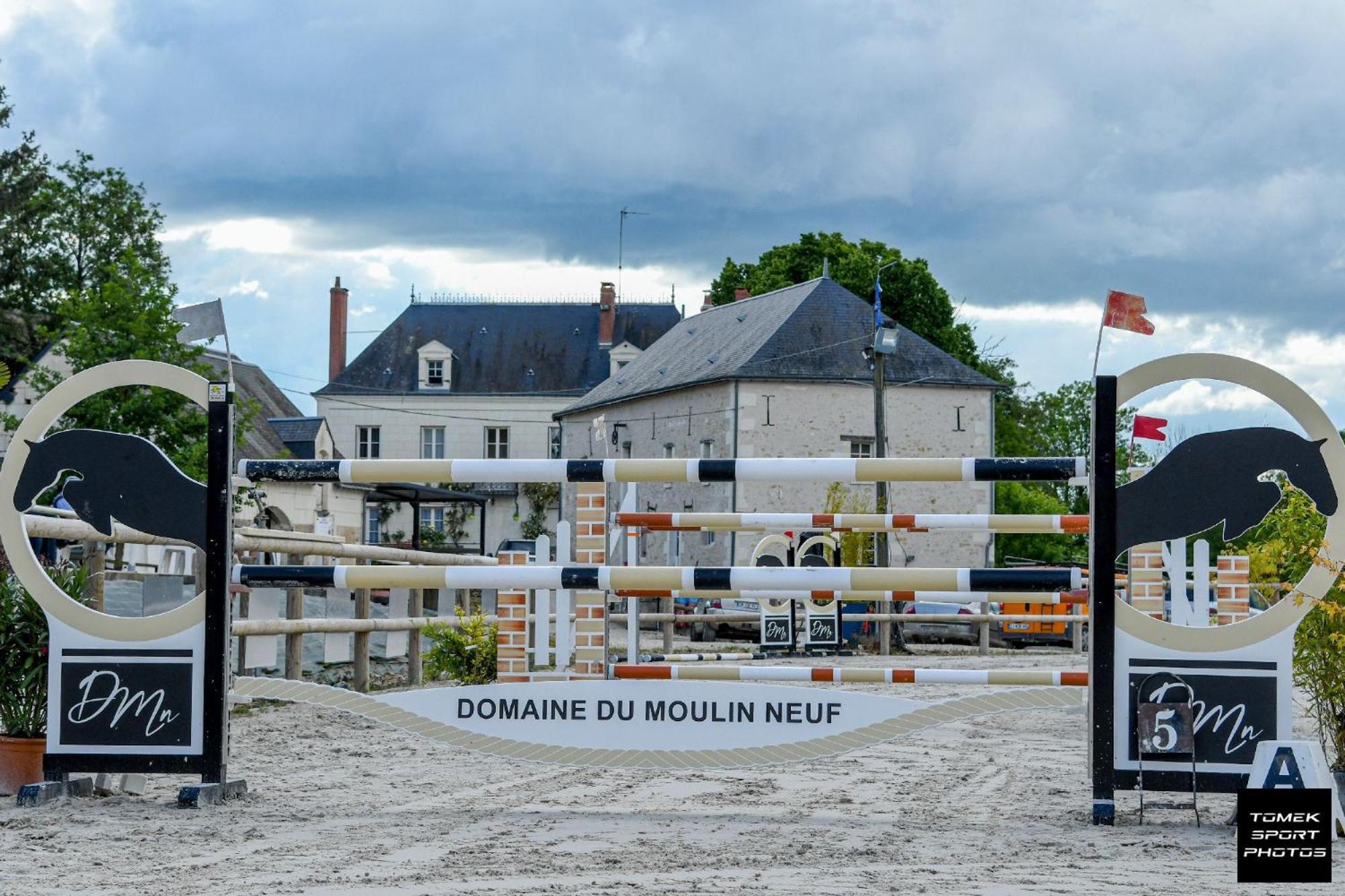 Domaine Du Moulin Neuf Aux Portes De Beauval Nouans-les-Fontaines Exterior foto